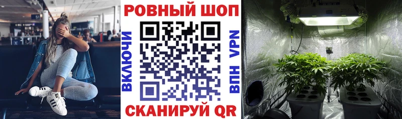 Конопля Лесосибирск