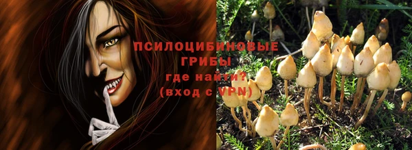 гидра Аркадак